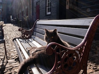 Apartment Eijsden  29