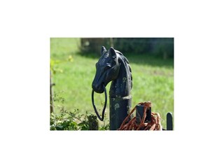 Appartamento Eijsden  38