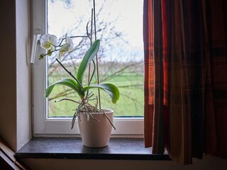 Appartement Eijsden  32