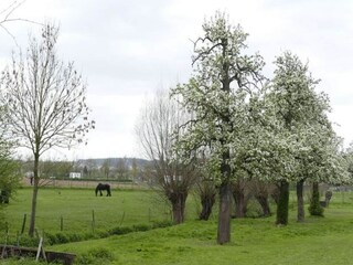 Appartamento Eijsden Ambiente 25