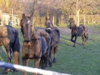 Appartement Eijsden Omgeving 25