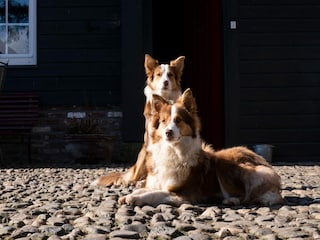 Apartment Eijsden  38