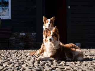 Appartement Eijsden  38