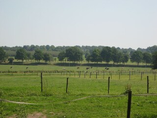 Apartment Eijsden Außenaufnahme 2