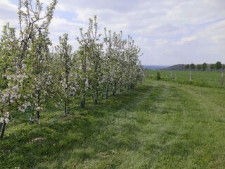 Appartamento Eijsden Ambiente 20