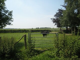 Appartamento Eijsden Ambiente 24