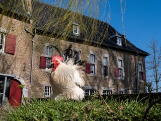 Appartement Eijsden  32
