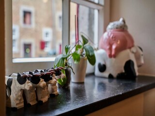 Appartement Eijsden  37