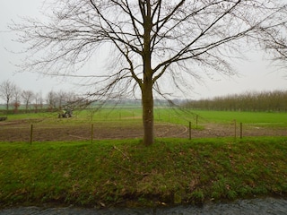 Ferienhaus Eijsden Außenaufnahme 5