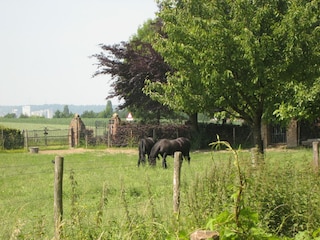 Ferienhaus Eijsden Außenaufnahme 2