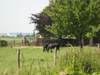 Vakantiehuis Eijsden Buitenaudio-opname 2