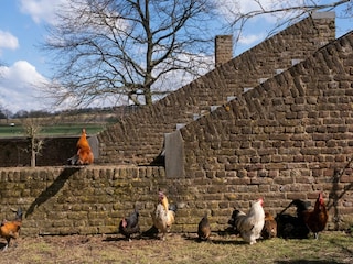 Ferienhaus Eijsden  34