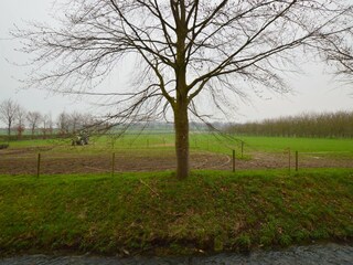 Ferienhaus Eijsden Außenaufnahme 4
