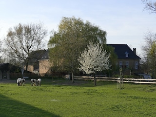 Holiday house Eijsden Environment 33
