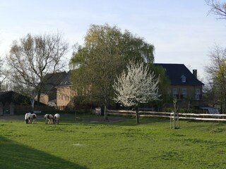 Vakantiehuis Eijsden Omgeving 32