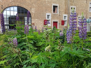 Holiday house Eijsden  40