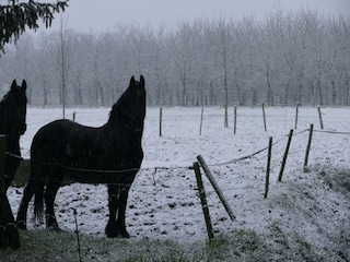 Apartment Eijsden Umgebung 31