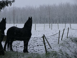 Appartamento Eijsden Ambiente 27