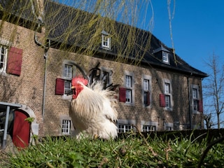 Apartment Eijsden Umgebung 28