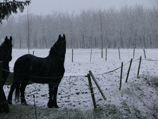 Appartement Eijsden Environnement 28