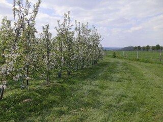 Appartamento Eijsden Ambiente 28