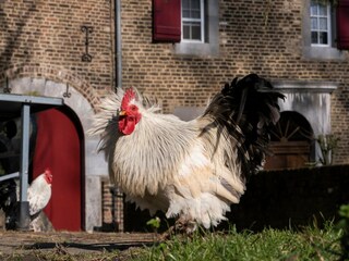 Casa per le vacanze Eijsden Ambiente 34