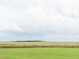 Type de propriété : Ferme Margraten Environnement 33