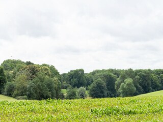 Type de propriété : Ferme Margraten Environnement 35