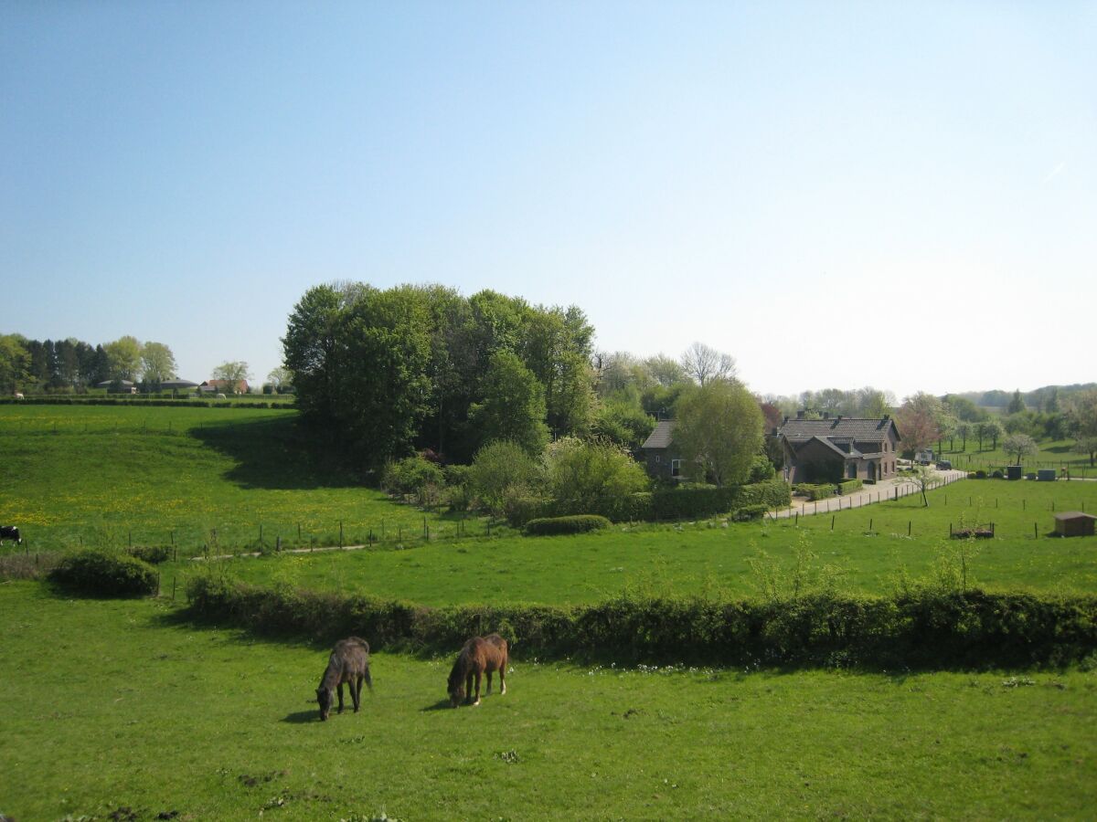 Ferienhaus Margraten Umgebung 25