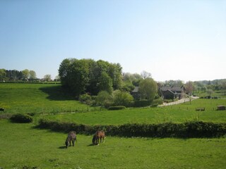 Vakantiehuis Margraten Omgeving 26