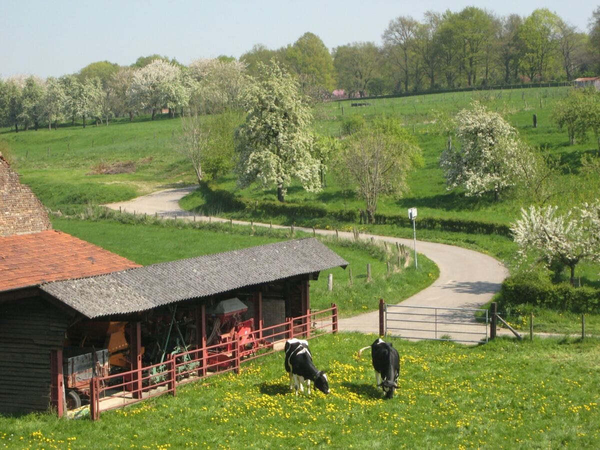 Ferienhaus Margraten Umgebung 26