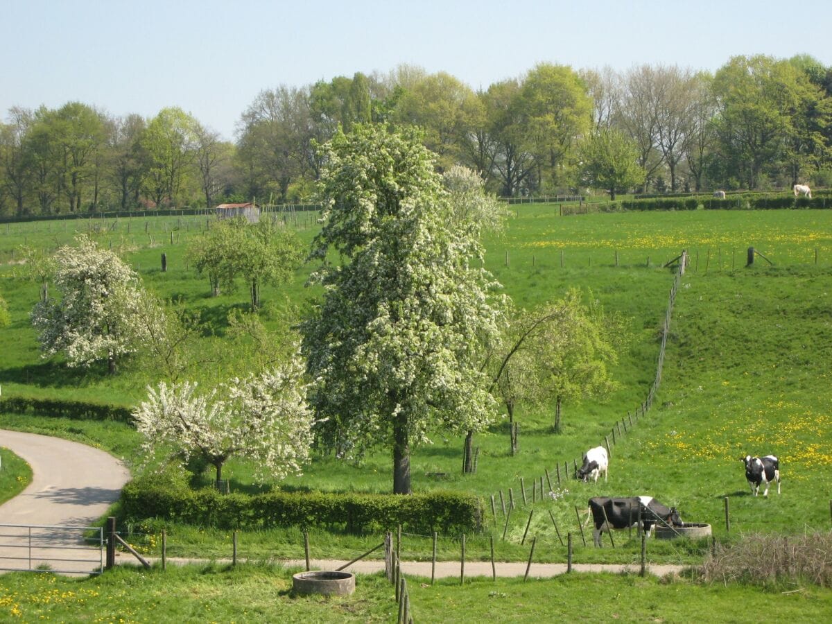 Ferienhaus Margraten Umgebung 27