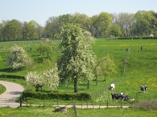 Vakantiehuis Margraten Omgeving 30