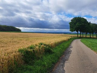 Vakantiehuis Margraten Omgeving 30
