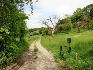 Maison de vacances Mechelen Environnement 24