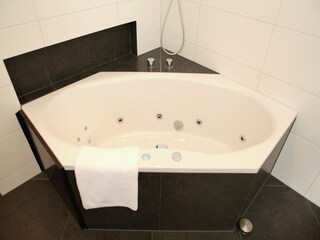 Vakantiehuis Mechelen Kenmerken 24