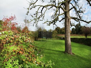 Holiday house Mechelen Outdoor Recording 14