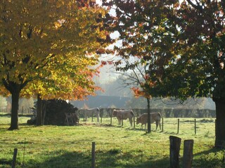 Casa per le vacanze Mechelen Registrazione all'aperto 5