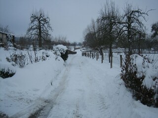 Casa per le vacanze Mechelen Ambiente 38
