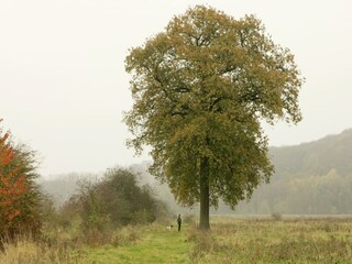 Vakantiehuis Valkenburg Omgeving 26