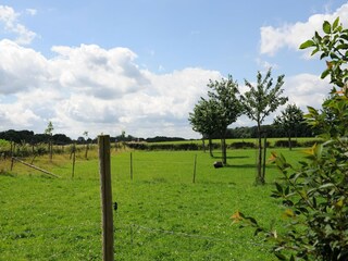 Vakantiehuis Valkenburg Omgeving 26