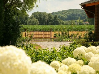 Farmhouse Gulpen Outdoor Recording 12