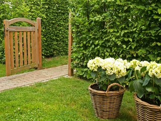 Type de propriété : Ferme Gulpen Enregistrement extérieur 11
