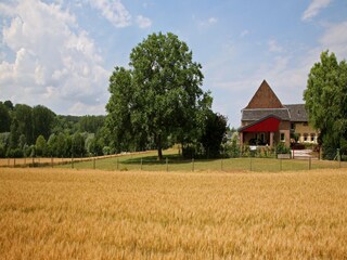 Type de propriété : Ferme Gulpen Environnement 25