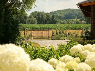 Bauernhof Gulpen Außenaufnahme 1