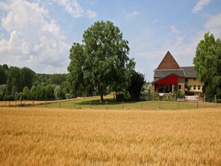 Bauernhof Gulpen Umgebung 28
