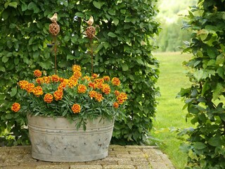 Type de propriété : Ferme Gulpen Enregistrement extérieur 2