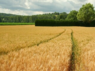 Type de propriété : Ferme Gulpen Environnement 33