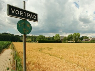 Bauernhof Gulpen Umgebung 26