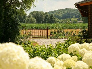 Bauernhof Gulpen Außenaufnahme 2